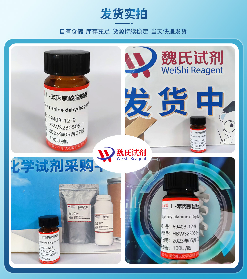 L -苯丙氨酸脱氢酶产品实拍图集